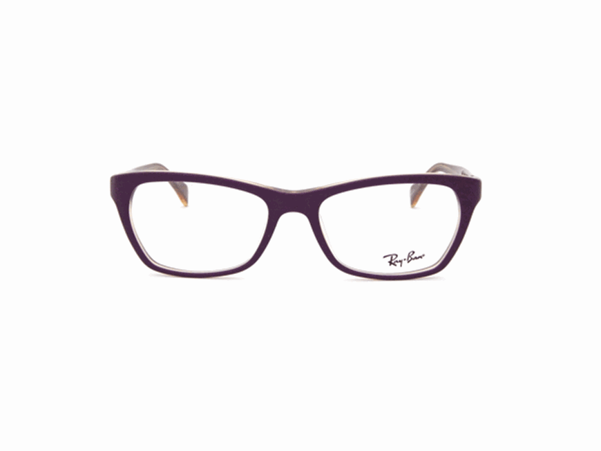 Ray-Ban eyeglasses RB 5298 col.5390 