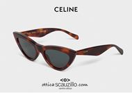 shop online Cat Eye Sunglasses CELINE 40019U Chiara Ferragni col. brown havana on otticascauzillo.com 