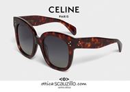 shop online Oversize sunglasses CELINE 4002UN col. brown havana on otticascauzillo.com 