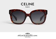 shop online Oversize sunglasses CELINE 4002UN col. brown havana on otticascauzillo.com 