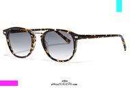  Acquista online su otticascauzillo.com il tuo nuovo occhiale da sole Bob Sdrunk WALT tartaruga
