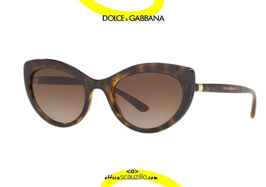 Narrow oval cat eye sunglasses Dolce&Gabbana DG6124 col. 502 havana brown |  Occhiali | Ottica Scauzillo