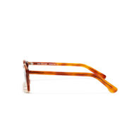Acquista online su otticascauzillo.com il tuo nuovo occhiale da sole Tommy chestnut honey gold