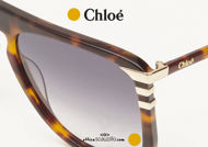  Acquista online su otticascauzillo.com il tuo nuovo occhiale da sole aviator acetato Petite West Chloè col. 0104 avana