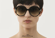 Acquista online su otticascauzillo.com il tuo nuovo occhiale da sole squadrato acetato Petite West Chloè col. 0105 nero e avana