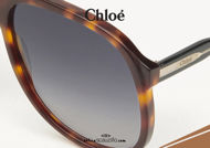 Acquista online su otticascauzillo.com il tuo nuovo occhiale da sole aviator acetato Dannie Chloè col. 0104 avana