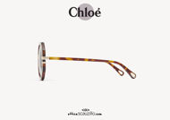 Acquista online su otticascauzillo.com il tuo nuovo occhiale da sole squadrato acetato Petite West Chloè col. 0105 avana