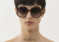 Acquista online su otticascauzillo.com il tuo nuovo occhiale da sole squadrato acetato Petite West Chloè col. 0105 avana