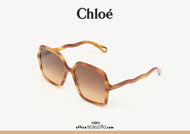 Acquista online su otticascauzillo.com il tuo nuovo occhiale da sole squadrato acetato Zelie Chloè col. 0086 avana chiaro