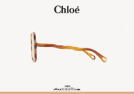 Acquista online su otticascauzillo.com il tuo nuovo occhiale da sole squadrato acetato Zelie Chloè col. 0086 avana chiaro