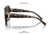 shop online new Oversized square sunglasses Tiffany TF4206 col. havana brown on otticascauzillo.com acquisto online nuovo Occhiale da sole squadrato oversize Tiffany TF4206 col. marrone havana