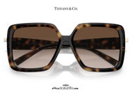 shop online new Oversized square sunglasses Tiffany TF4206 col. havana brown on otticascauzillo.com acquisto online nuovo Occhiale da sole squadrato oversize Tiffany TF4206 col. marrone havana