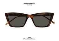 New Saint Laurent SL737 MICA THIN cat eye sunglasses col.003 brown havana otticascauzillo.com Nuovo occhiale da sole cat eye Saint Laurent SL737 MICA THIN col.003 marrone havana